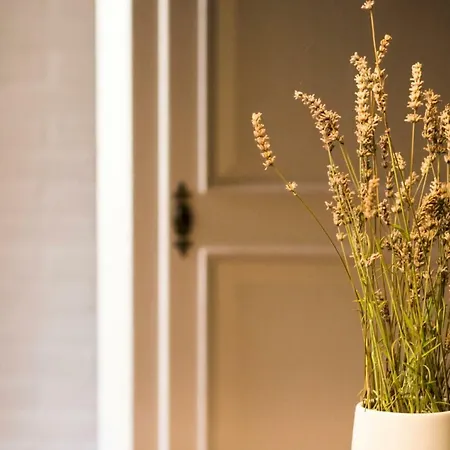 Ca Tugnin Dill Cich Apartment
