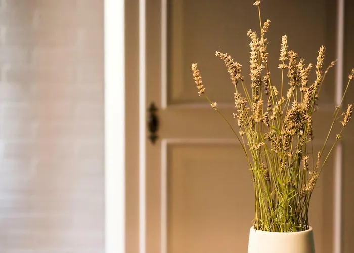 Ca Tugnin Dill Cich Appartement